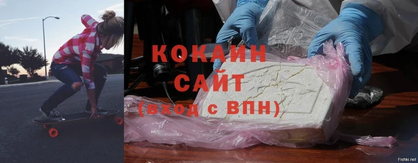 ПСИЛОЦИБИНОВЫЕ ГРИБЫ Дмитриев