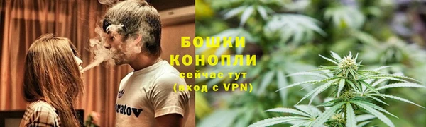 ПСИЛОЦИБИНОВЫЕ ГРИБЫ Дмитриев
