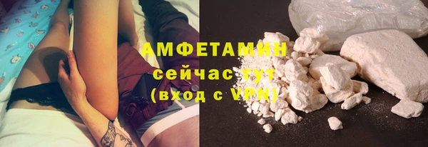 ПСИЛОЦИБИНОВЫЕ ГРИБЫ Дмитриев