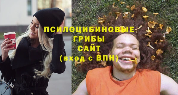 ПСИЛОЦИБИНОВЫЕ ГРИБЫ Дмитриев