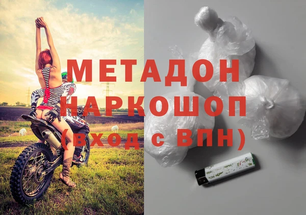 ПСИЛОЦИБИНОВЫЕ ГРИБЫ Дмитриев