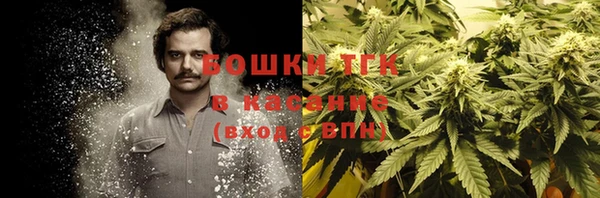 ПСИЛОЦИБИНОВЫЕ ГРИБЫ Дмитриев