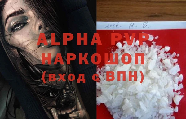 ПСИЛОЦИБИНОВЫЕ ГРИБЫ Дмитриев
