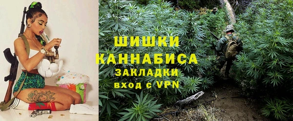 ПСИЛОЦИБИНОВЫЕ ГРИБЫ Дмитриев
